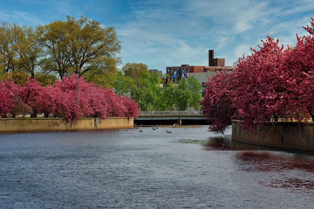 Mill River Park in Stamford Connecticut 