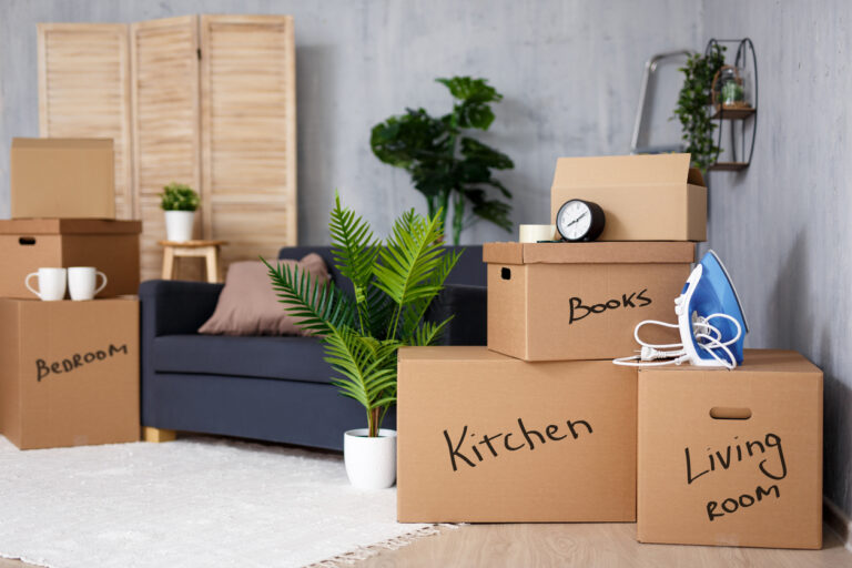 Moving boxes with apartment items